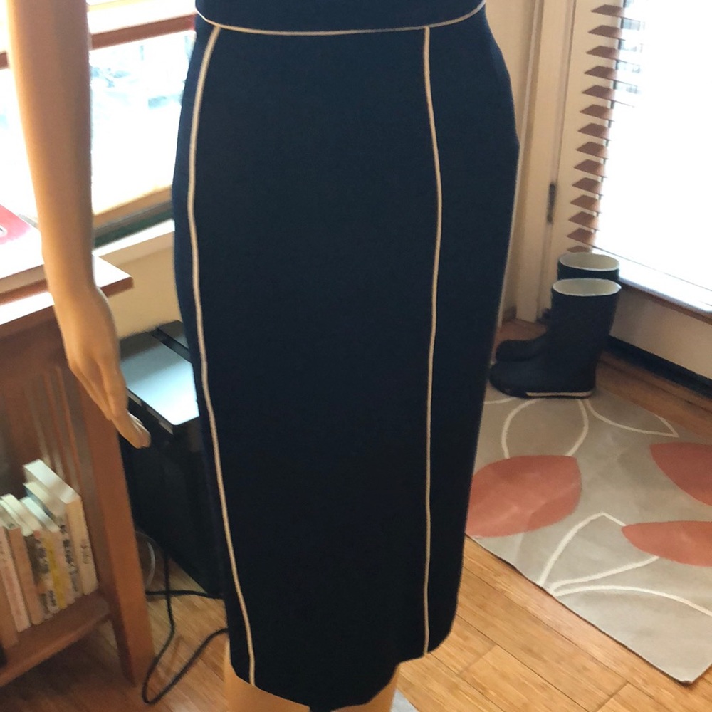 Striking ,Very Skinny  Skirt. ZARA.